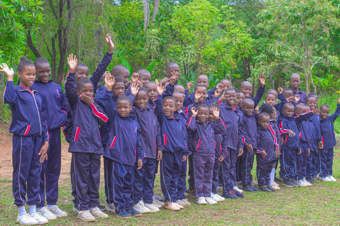 A group of learners raising their hands and smiling